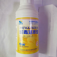 世連健康集團 引領食品銷售新潮流，守護全民健康生活