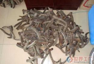 批發(fā)優(yōu)質(zhì)梅花鹿茸 醫(yī)藥與保養(yǎng)領(lǐng)域的珍品